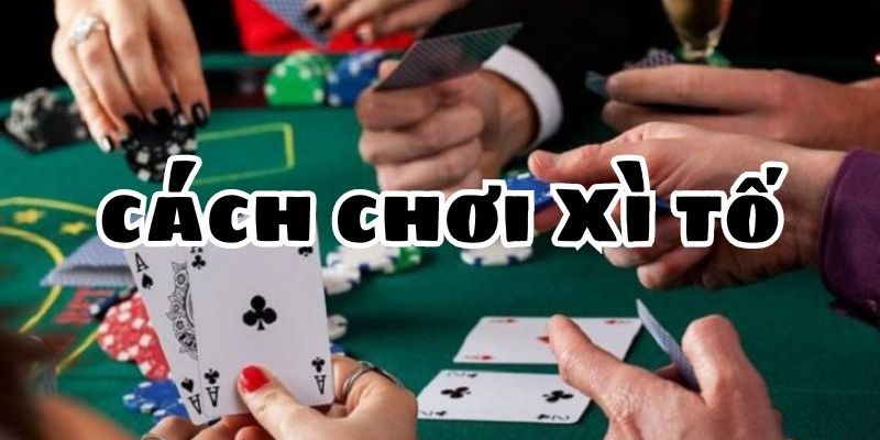 Thông tin quan trọng về cách chơi xì tố