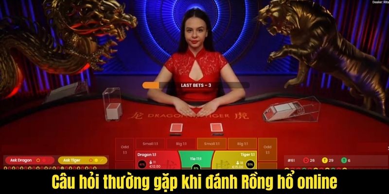 Câu hỏi thường gặp khi đánh Rồng hổ online